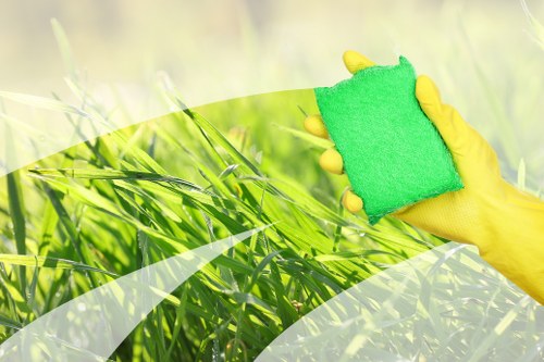 Customer service complaint review for a carpet cleaning company