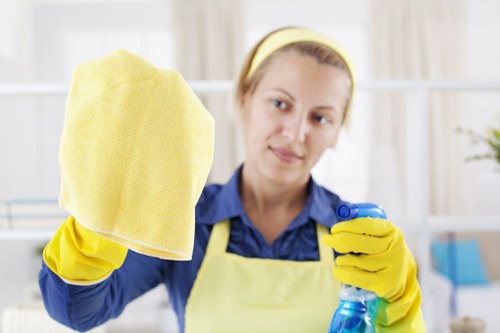 Queensbury stain removal on carpet and upholstery