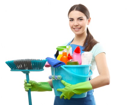Governing law and final legal agreement for cleaners