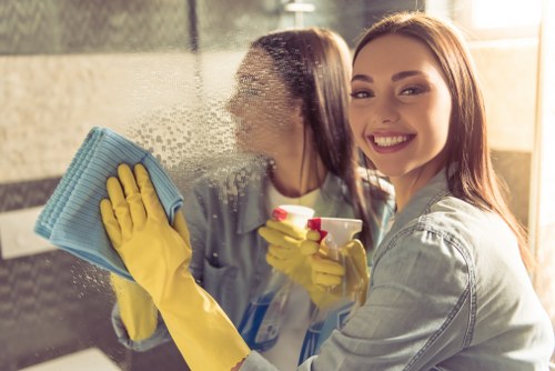 Professional assessment of a carpet cleaning issue