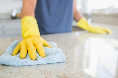 Reviewing a carpet cleaning complaint and service details