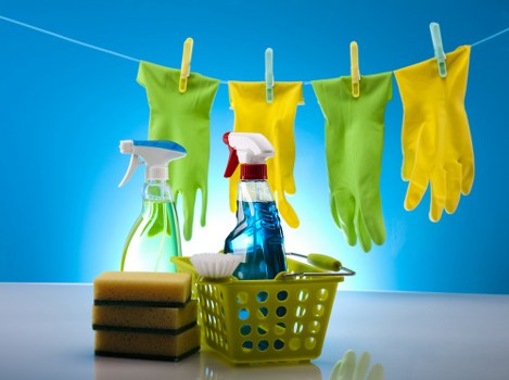 Professional carpet cleaning appointment and booking details