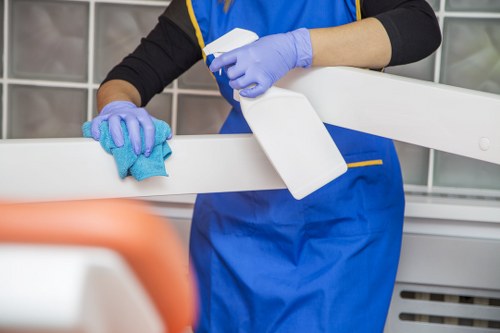 Deep cleaning treatment for pet stains and odours in a Queensbury home